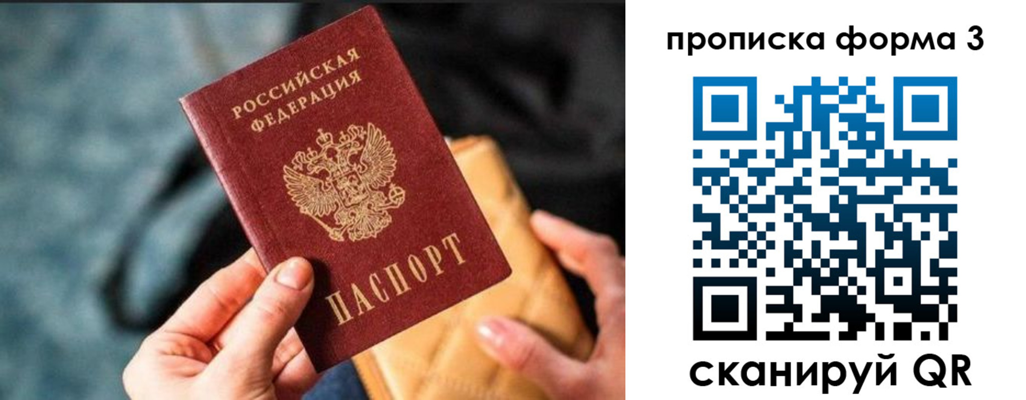 прописка гарантия в Цимлянске